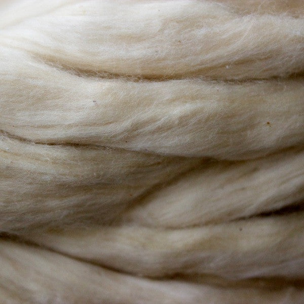 spinning fiber sliver organic fair trade pigmented cotton