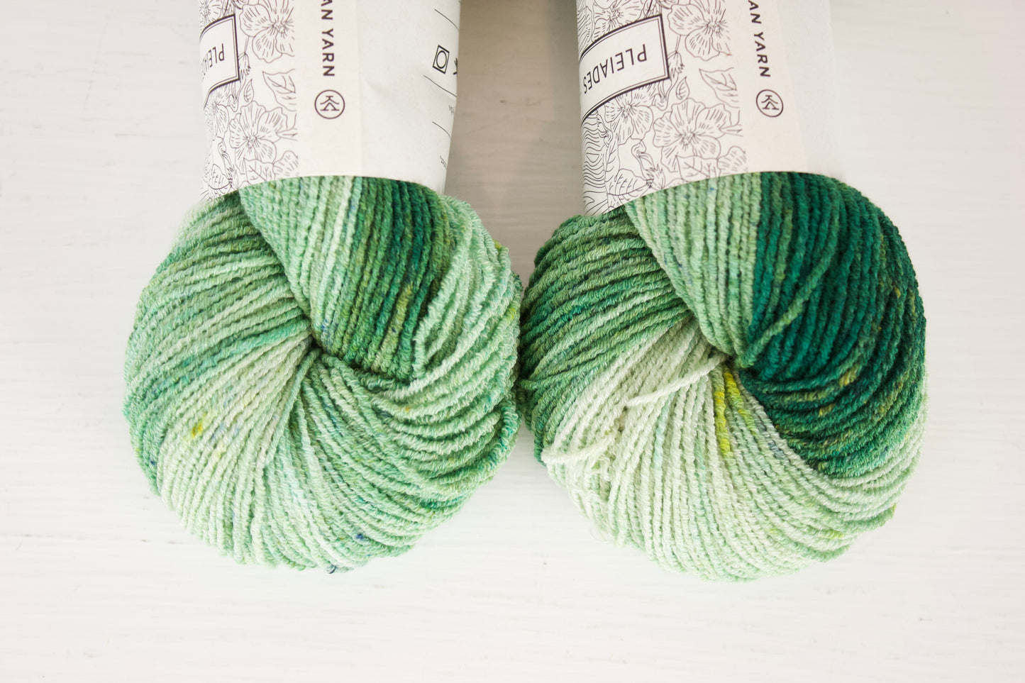 Totoro Naps - Pleiades Eco