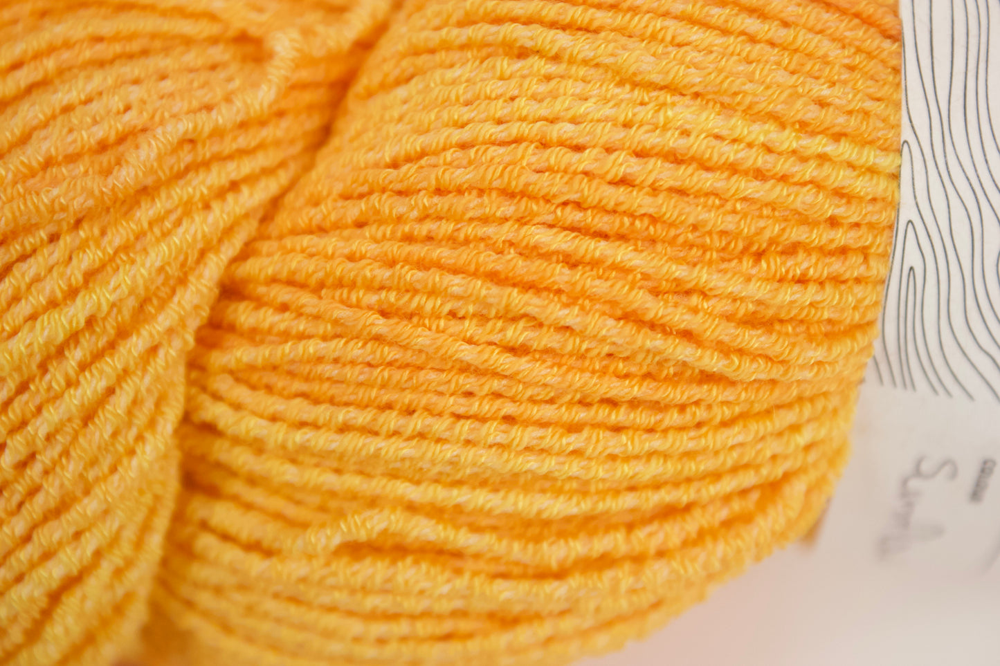 Sunflower - Pleiades Eco