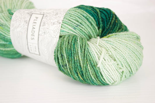 Totoro Naps - Pleiades Eco