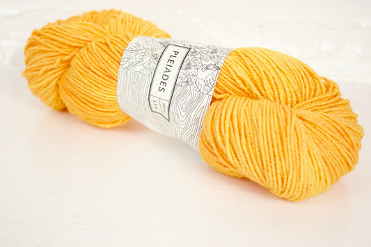 Sunflower - Pleiades Eco