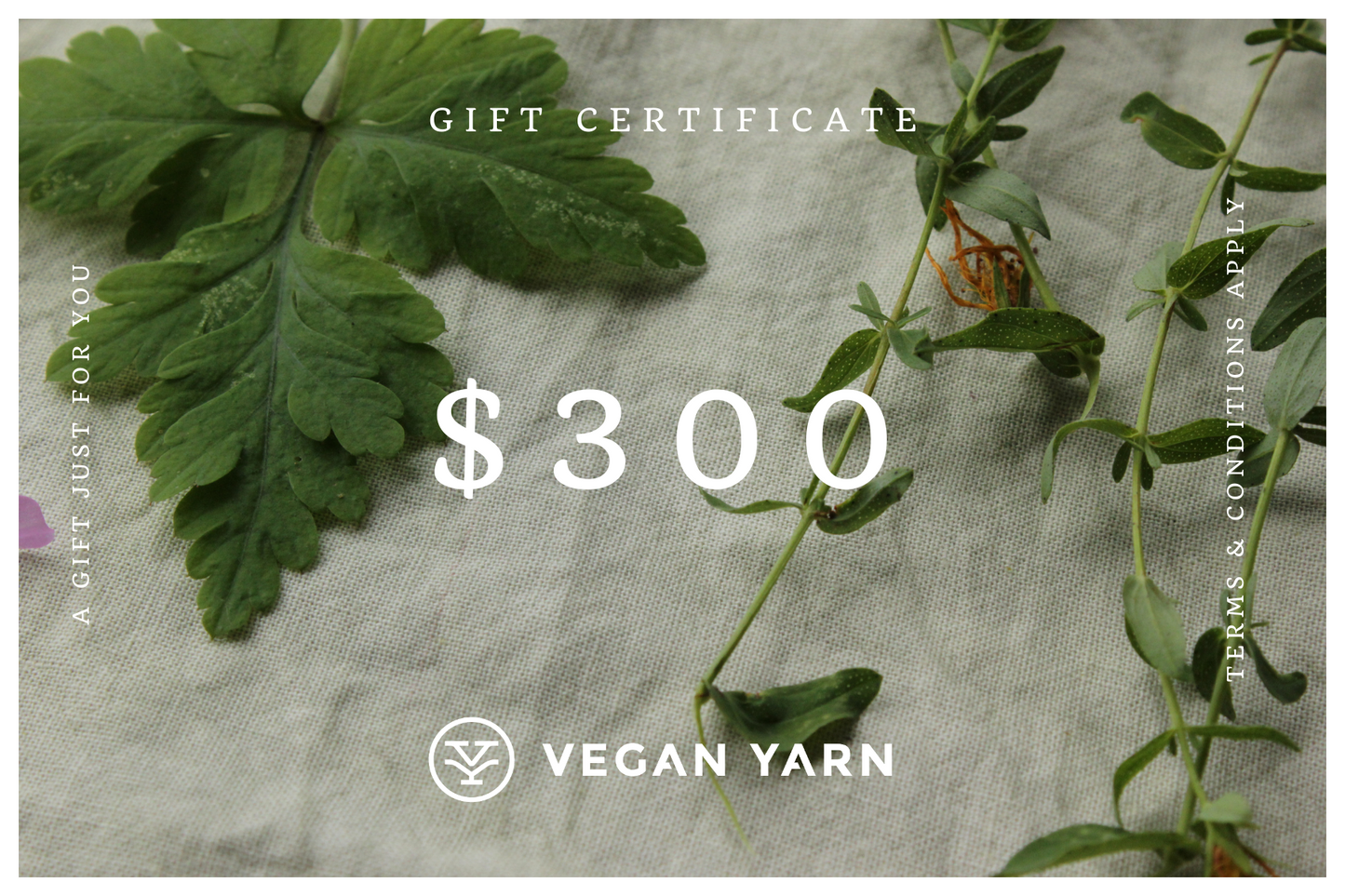 Gift Certificates - Vegan Yarn