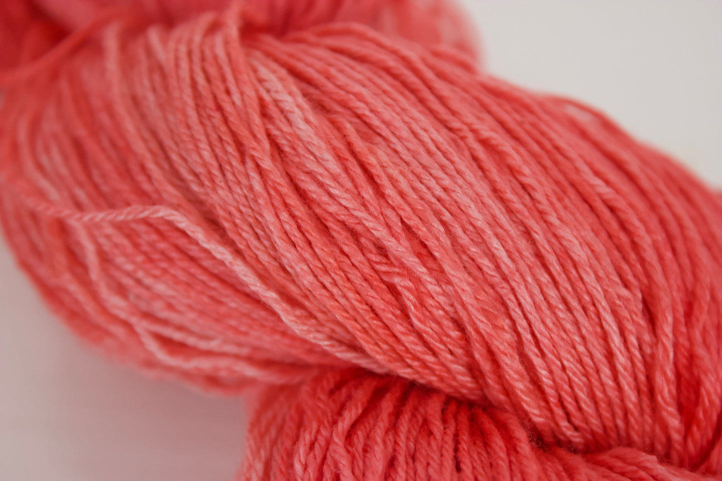 Fire Coral - Albireo