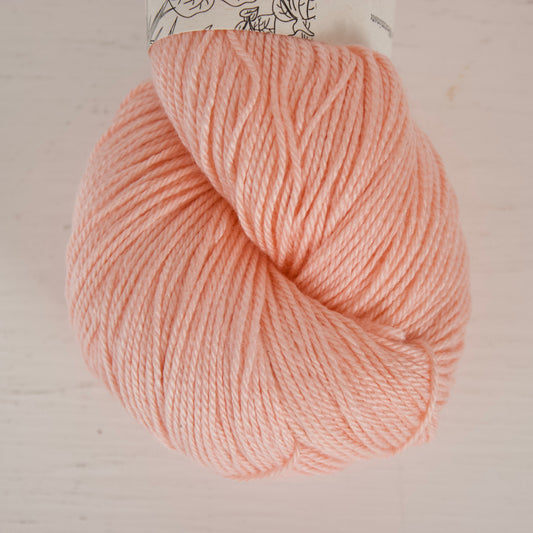 Peach Sorbetto - Albireo