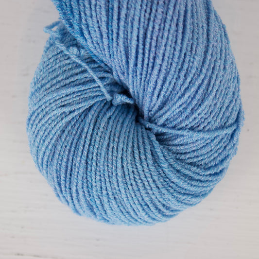 Aurelia Aurita Dark - Pleiades Eco