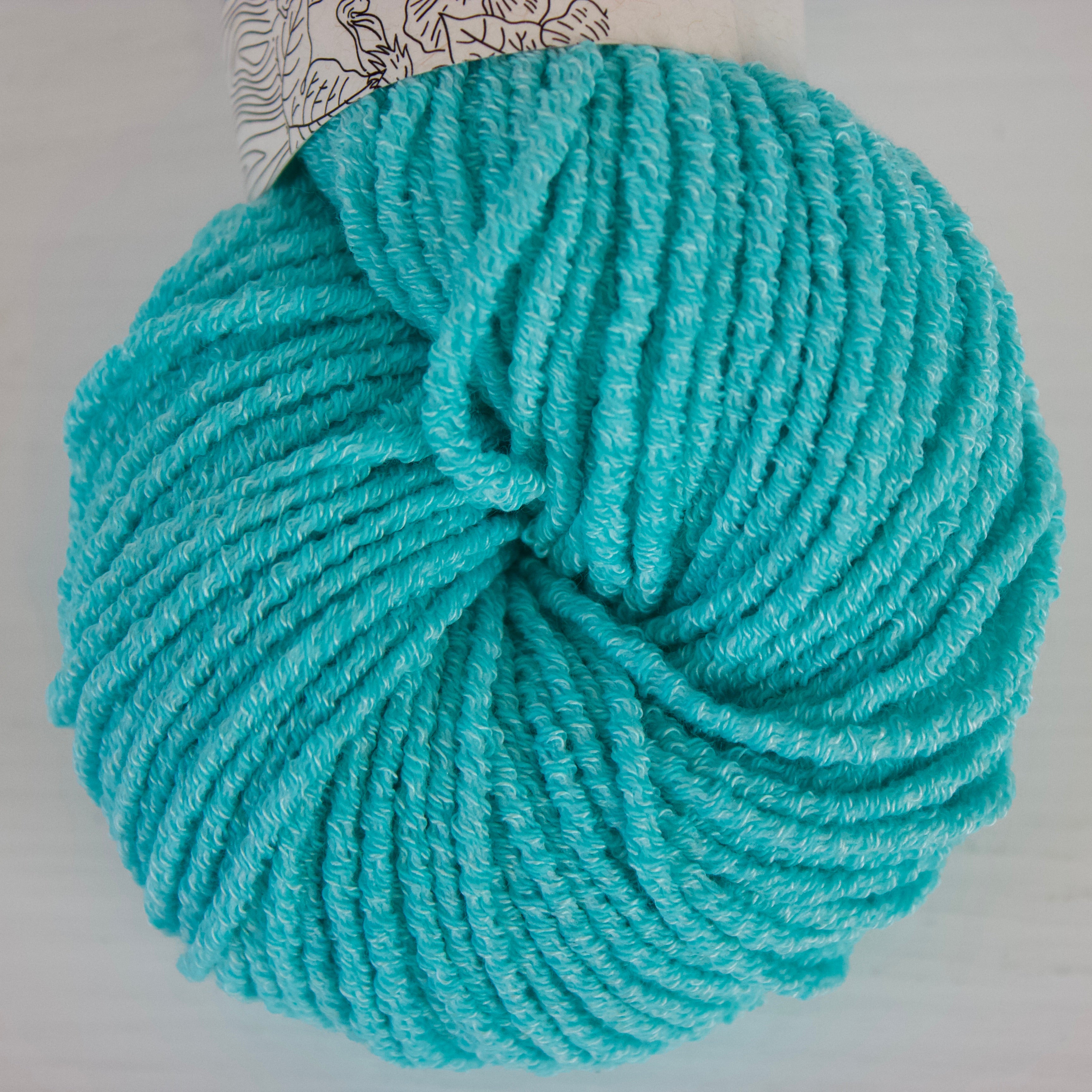 Mountain Lake (semi-solid) - Hyades Worsted – Vegan Yarn