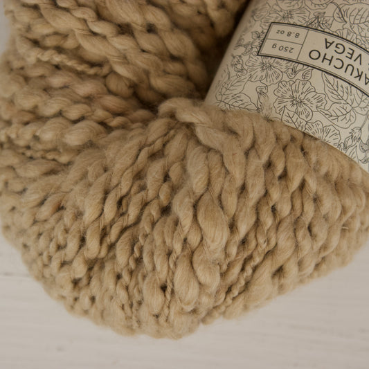 Brume forestière - Coton coloré Vega x Pakucho