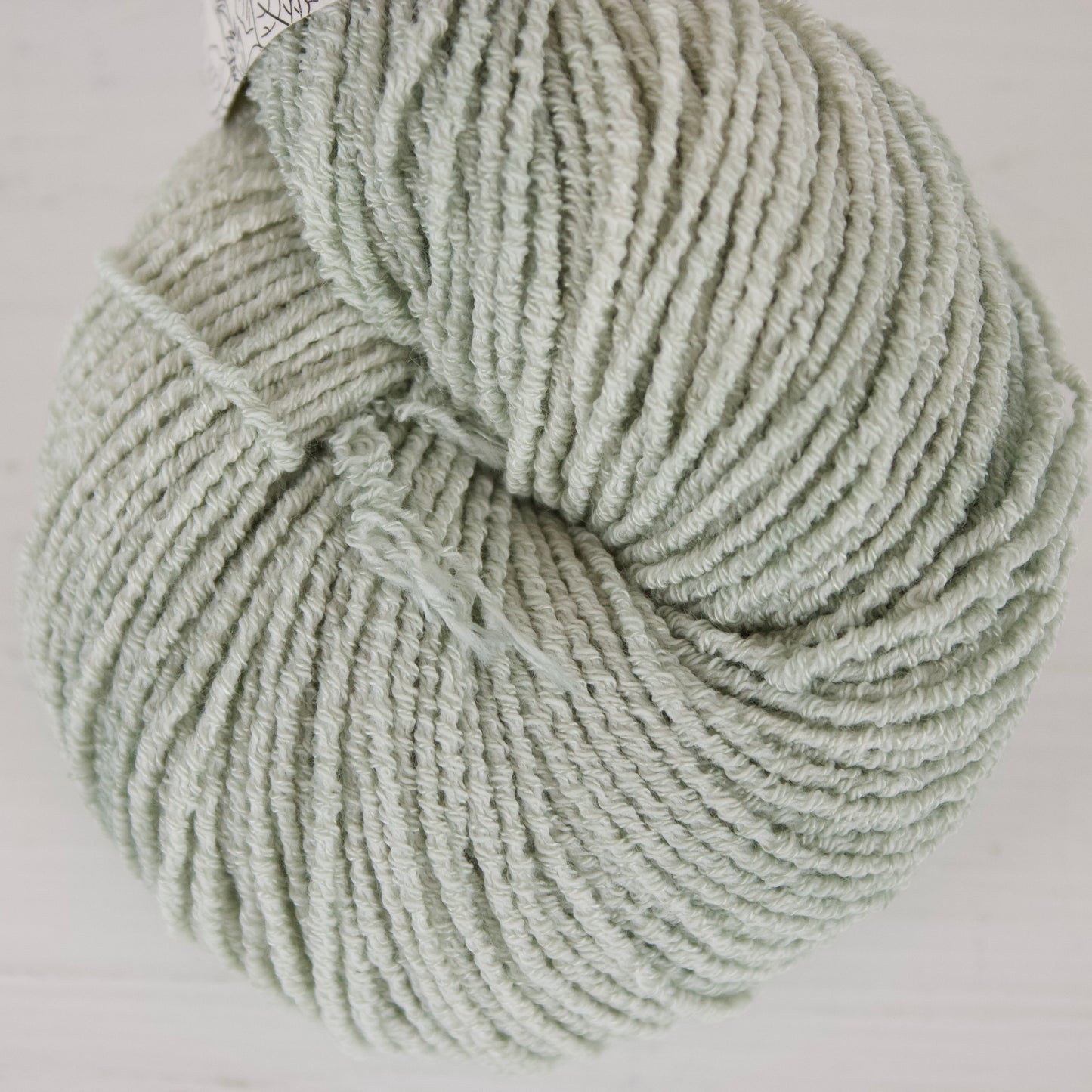 Lichen - Pleiades Eco