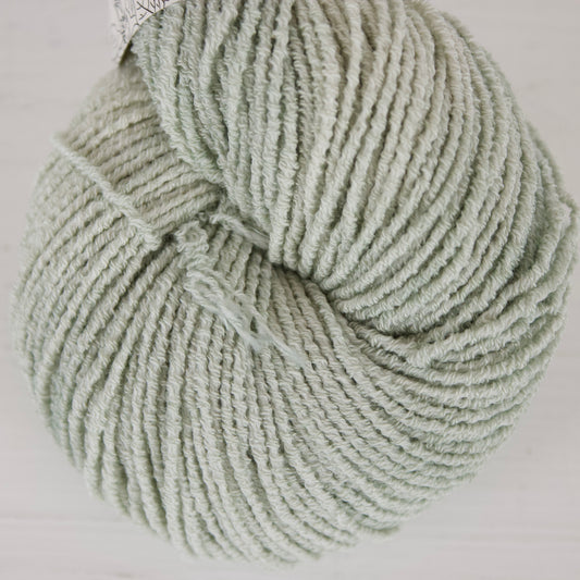 Lichen - Pleiades Eco