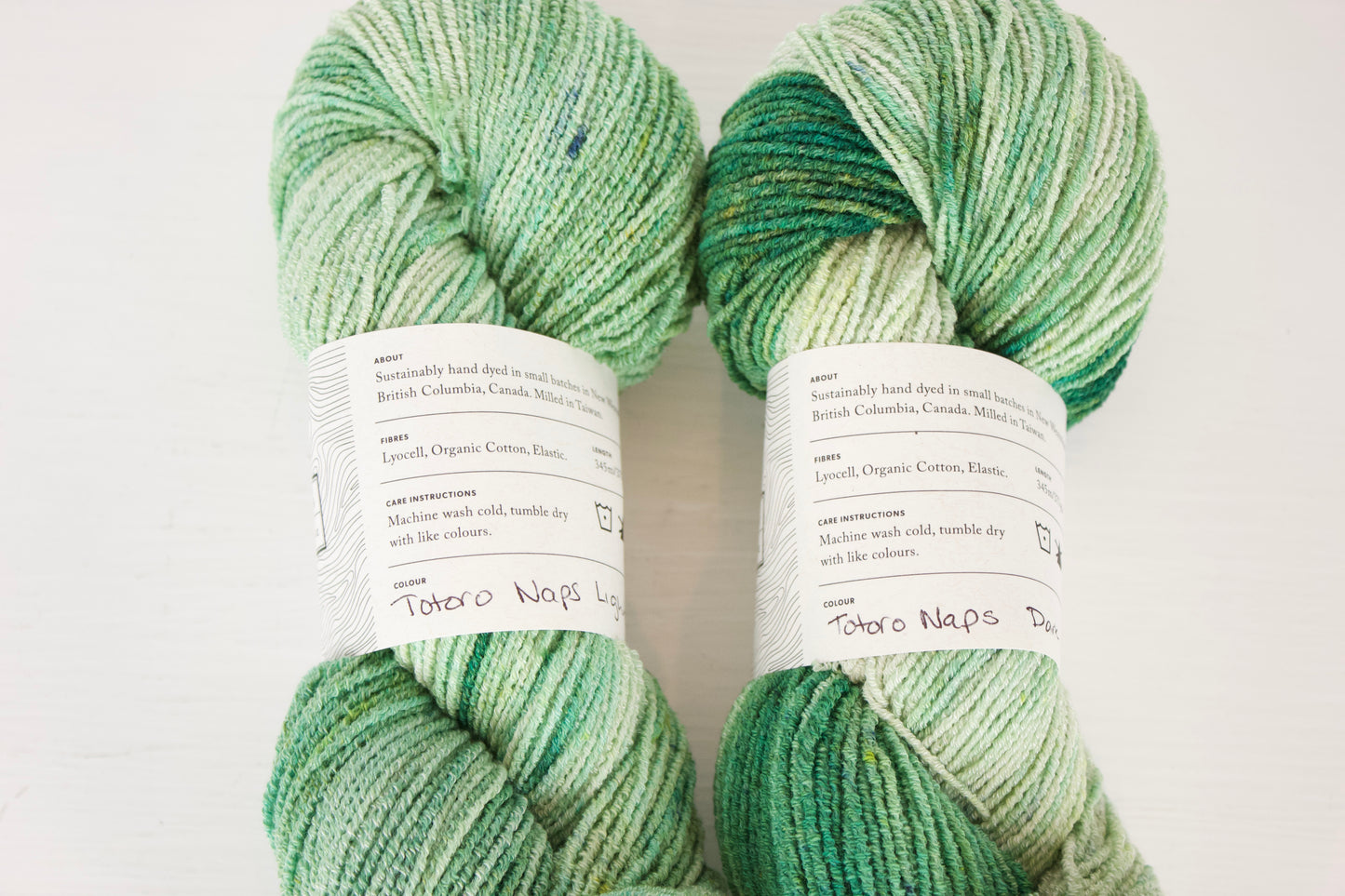 Totoro Naps - Pleiades Eco