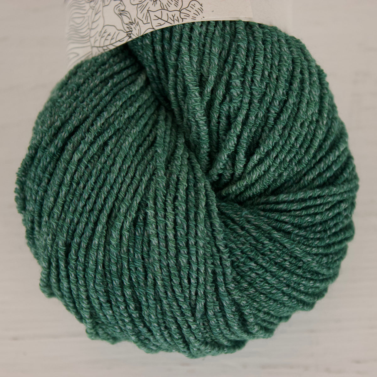Camphor Tree - Pleiades Eco