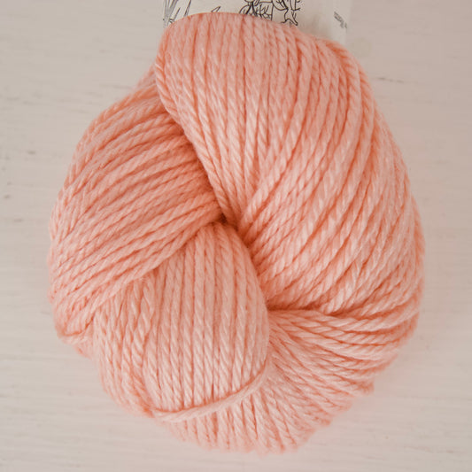 Peach Sorbetto - Alnilam