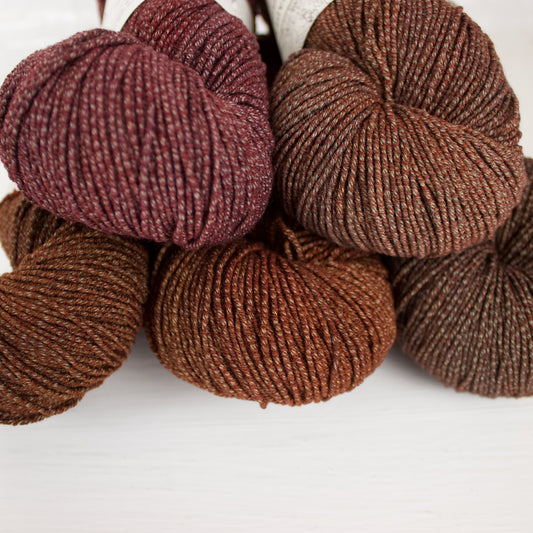 Cocoa - Five Skein Set - Pleiades Eco